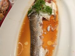 -新白鹿餐厅(银泰西湖文化广场店)