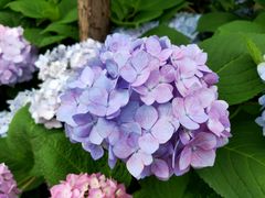 -新天地活力PARK