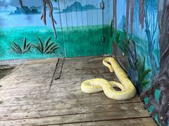 -石家庄市动物园