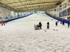 -乔波室内滑雪场
