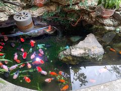 -佛有缘素食馆·荔湾老字号(陈家祠首店)