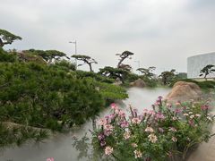 -罗红摄影艺术馆