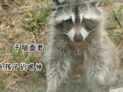 -秦皇岛野生动物园