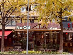 -No Cat 手碟