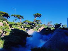 -罗红摄影艺术馆