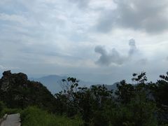 -朱雀国家森林公园