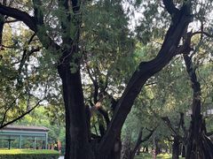 -北京市劳动人民文化宫(太庙)