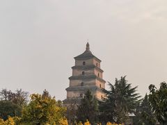 -秦始皇兵马俑博物馆-停车场