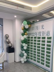 -白月光皮肤管理·德国LDM