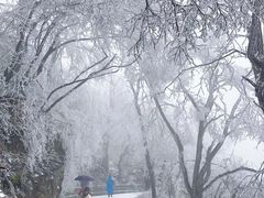 -紫金山山顶公园