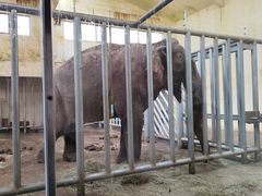 -石家庄市动物园