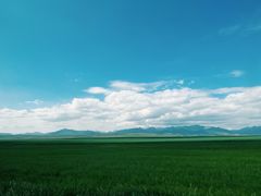 -山丹皇家马场