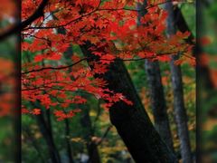 -丹东天桥沟景区