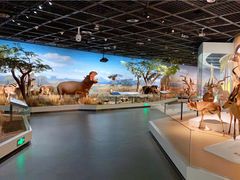 -陕西自然博物馆