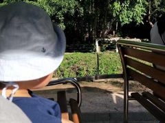 -清迈夜间动物园