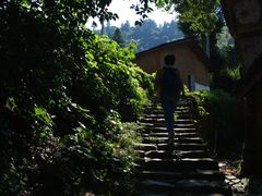 -杨家堂村