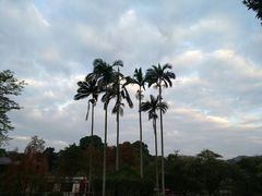 -广州市白云山风景名胜区