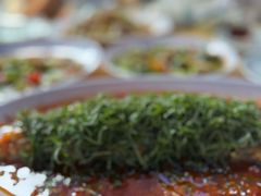 -老字号怡玺·藿香雅鱼(20年雅安店)