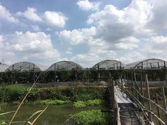 -马陆小张葡萄园农家乐