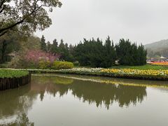 -无锡梅园公园