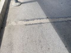 -索拉古贝(义乌北苑店)