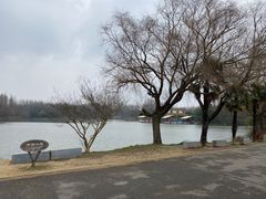 -东平国家森林公园