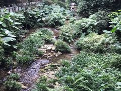 -桂林古东瀑布景区