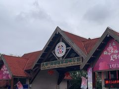 -上海海湾国家森林公园