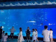 -烟台海昌鲸鲨海洋公园