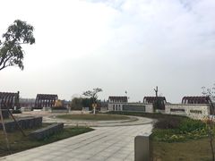 -芒洲湿地公园