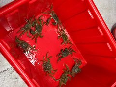 -阳澄湖大闸蟹·琼灵阁牌品牌连锁(吴中总店)