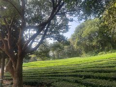 -敬亭山风景名胜区