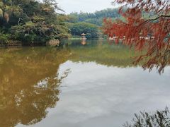 -深圳仙湖植物园