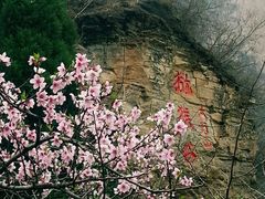 android_upload_pic-云台山风景名胜区