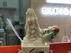 -野人先生现做冰淇淋(西安赛格店)
