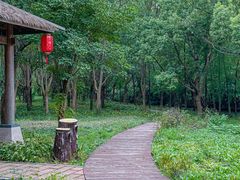 -同里国家湿地公园