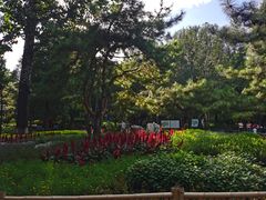 -宣武艺园