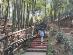 -宁波浙东大竹海景区