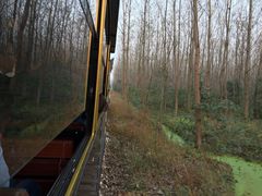 -合肥滨湖国家森林公园