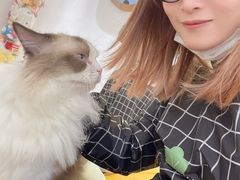 -1013 PET SHOP精品宠物商店(丁香店)