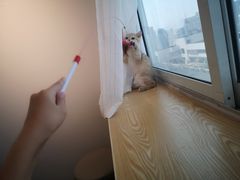 -Heymao猫咖.咖啡厅(东门店)