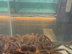 -荔城生鲜盛宴(番禺旗舰店)