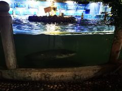 -天怡·鱼工厂(临江店)