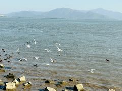 -深圳湾公园(南山区)