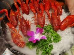 -红盔甲·小龙虾(天钥桥店)