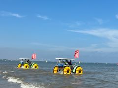 -日照海滨国家森林公园