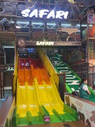 -卡通尼·Safari非洲探索乐园·生日会(金桥国际商业广场店)