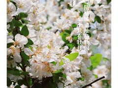 -洛阳市隋唐城遗址植物园