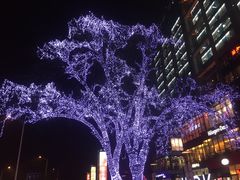 -多乐之日(五道口店)