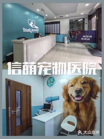 信萌宠物医院 给你的宠物多一份关爱和呵护